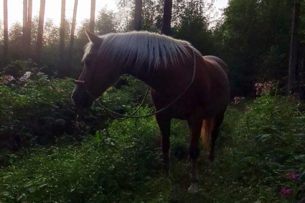 WhatsApp Bild 2023-01-10 um 20.13.43